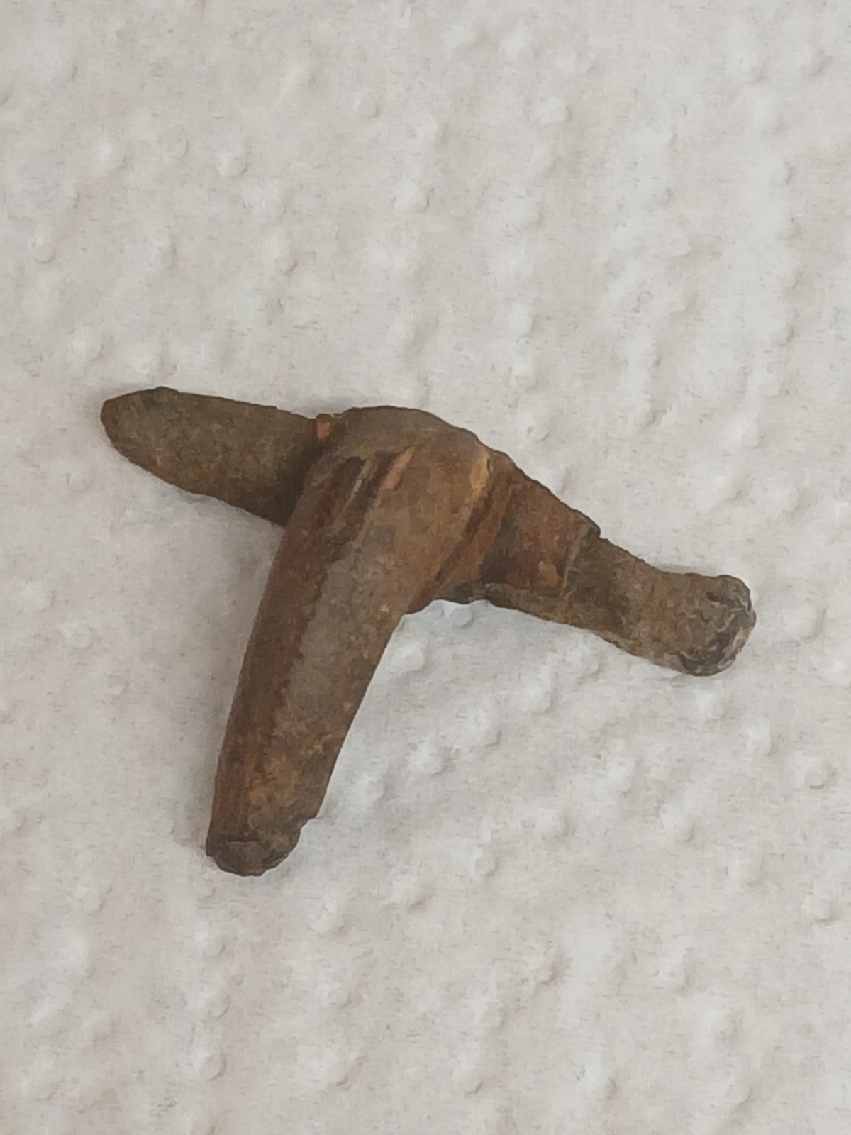 Roman Brooch
