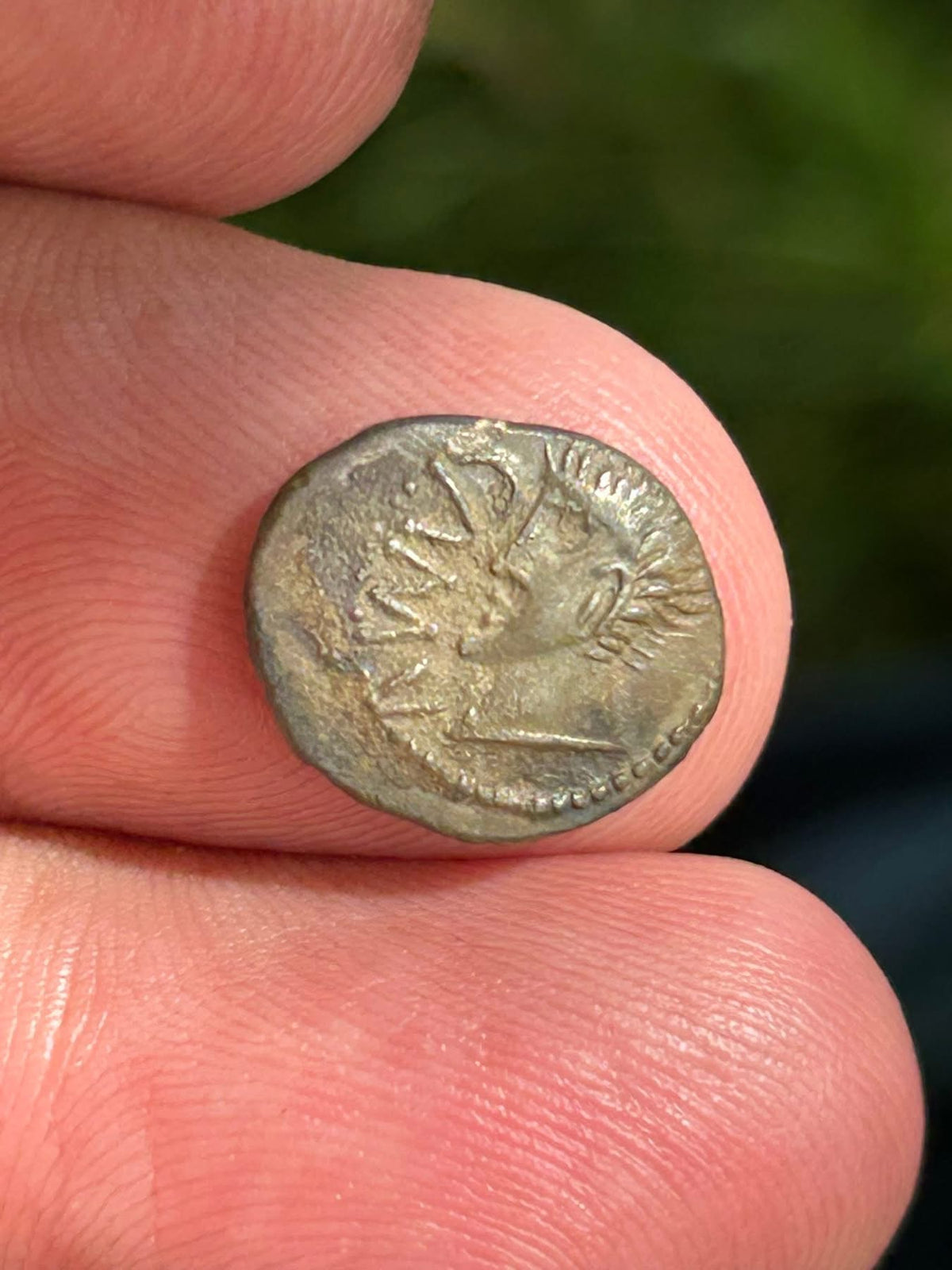 Celtic Silver Unit