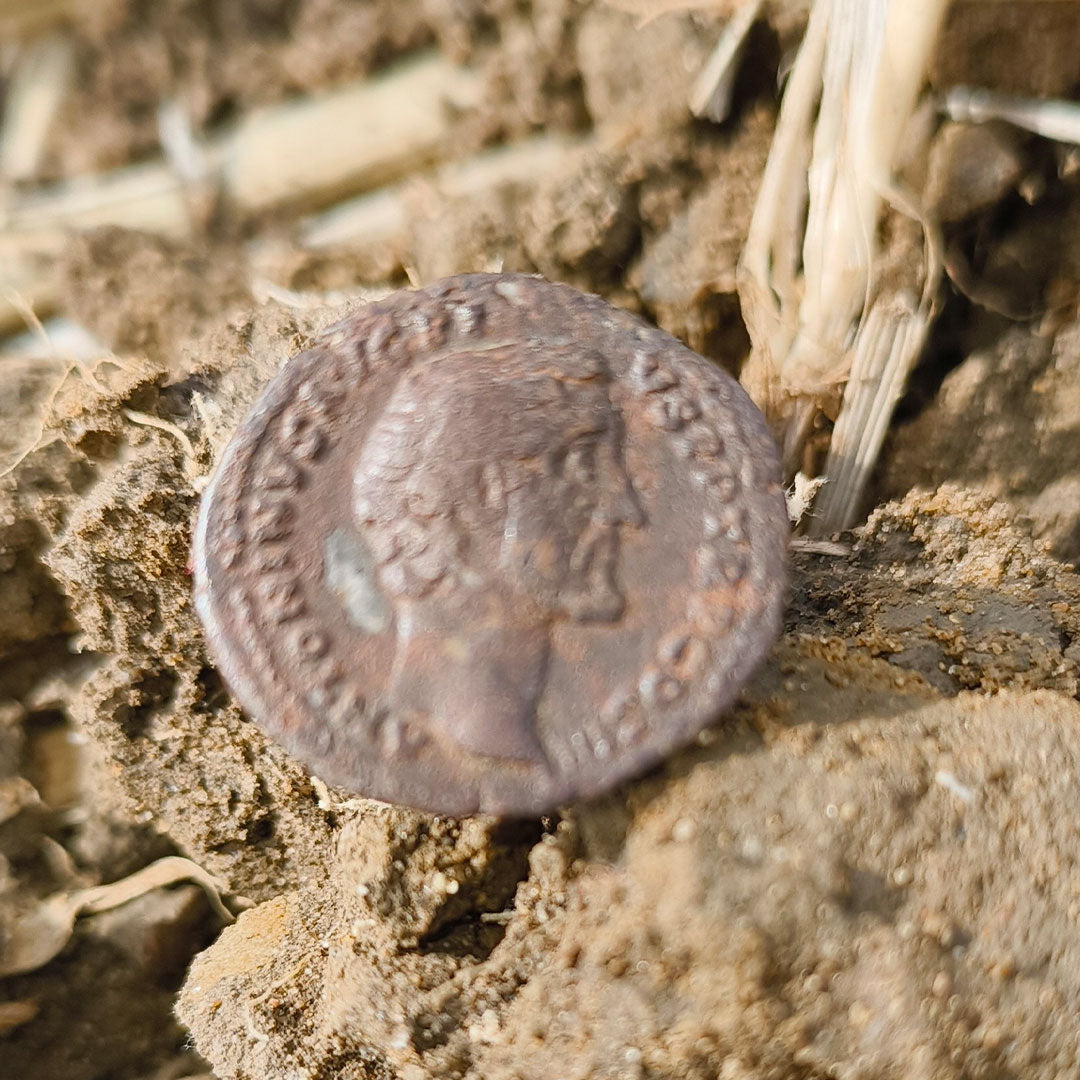 Roman Denarius