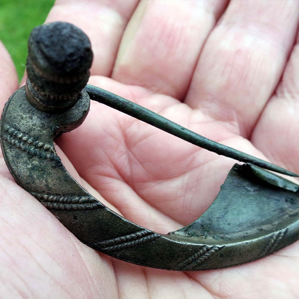 Hinged Dolphin Brooch